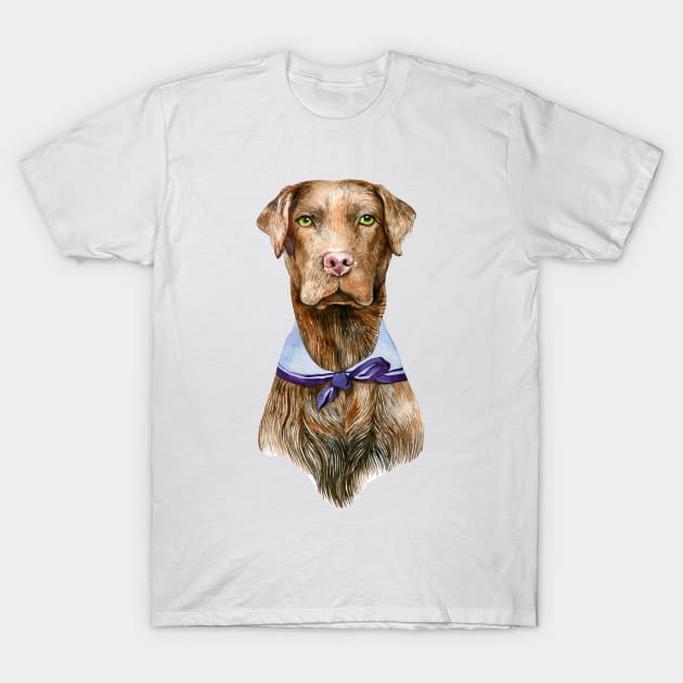 Chocolate lab T-Shirt by argiropulo